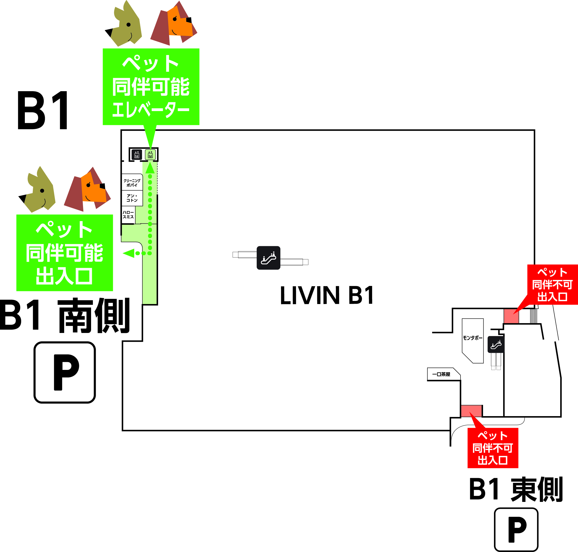 ペットルートB1