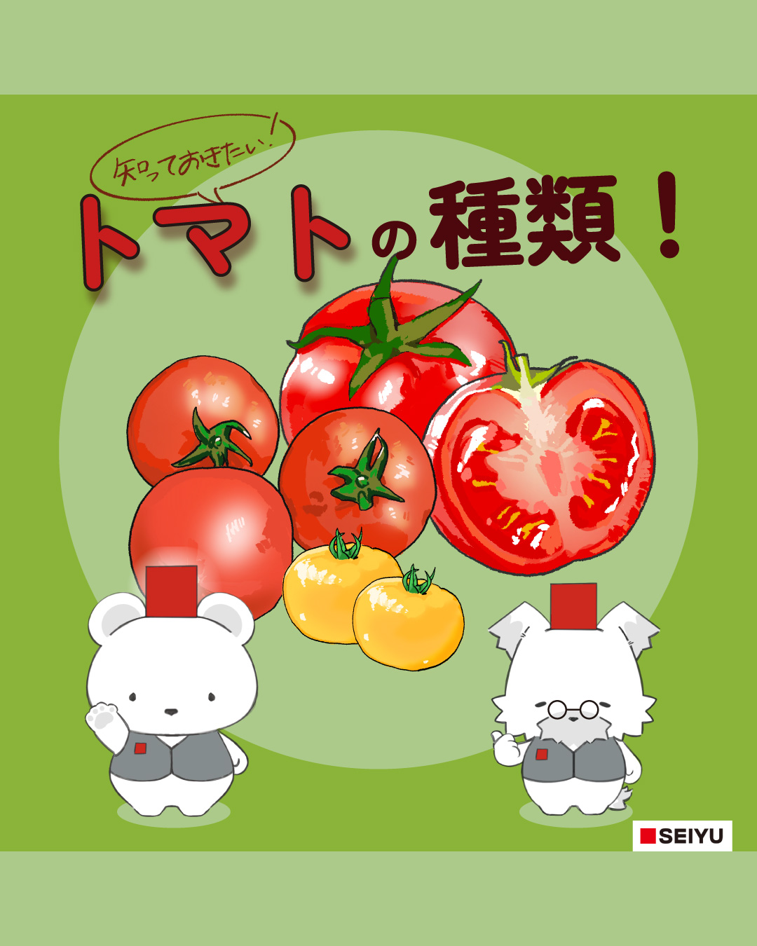 知っておきたい！トマトの種類