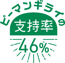 支持率46%